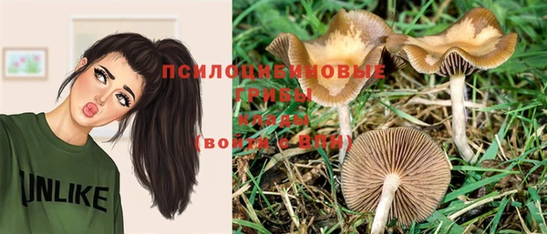 первитин Костерёво