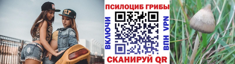 Галлюциногенные грибы MAGIC MUSHROOMS Кирсанов